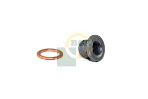 Surub de golire baia de ulei BGA PK1401