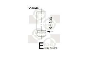 Supapa evacuare BGA V517646