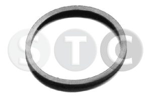 Garnitura termostat STC T402404