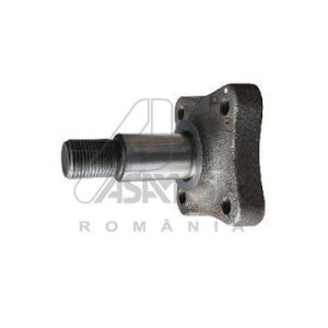 Butuc roata ASAM AUTOMOTIVE 30319 DACIA LOGAN pick-up (US_) 1,461 cmc (K9K 796) diesel 86 ASAM AUTOMOTIVE 30319