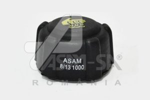 Buson vas expansiune ASAM AUTOMOTIVE 30937 DACIA DUSTER (HS_) 1,461 cmc (K9K 796, K9K 830) diesel 86 ASAM AUTOMOTIVE 30937