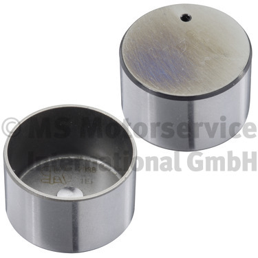 Culbutor supapa KOLBENSCHMIDT 50007838 DACIA DUSTER (HS_) 1,197 cmc (H5F 410) benzina 125 KOLBENSCHMIDT 50007838