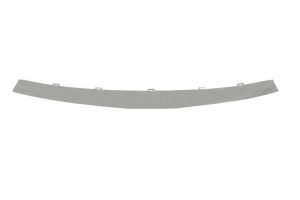 Banda de protectie grila radiator BLIC 6502-07-1310991P