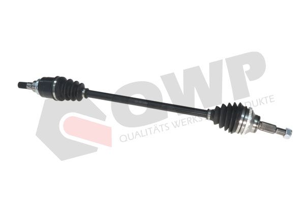 Cap planetara QWP WDS115 DACIA DUSTER (HS_) 1,598 cmc (K4M 606, K4M 646) benzina 105 QWP WDS115