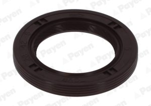 Simering ax cu came PAYEN NA5215 – DACIA | AutoRival