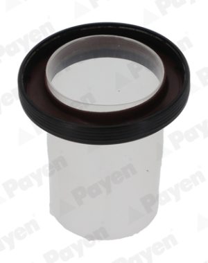 Simering ax cu came PAYEN NA5328 – DACIA | AutoRival