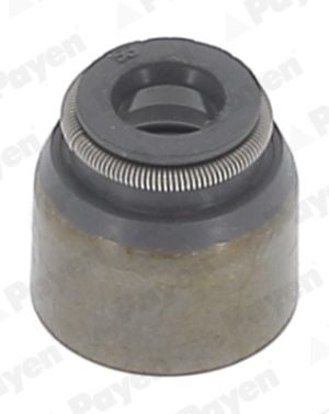 Etansare supape PAYEN PB681 – DACIA | AutoRival