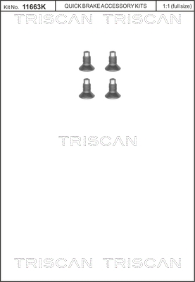 Set surub disc frana TRISCAN 8105 116004