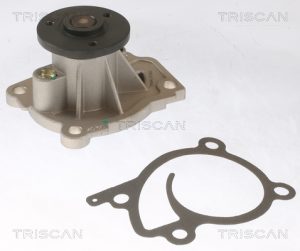 Pompa de apa TRISCAN 8600 25096