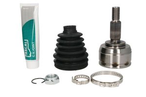 Cap planetara PASCAL G1E003PC DACIA DUSTER AUTOUTILITARA/SUV 1,598 cmc (K4M 696) Benzina/Etanol 105 PASCAL G1E003PC