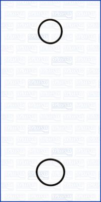 Set garnituri pompa apa AJUSA 77001900