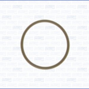 Etansare suport injector FIAT TIPO limuzina (356_, 357_) 1.3 D (356SXB1A, 356SXH1A, 356SXD1A) diesel 95 cai AJUSA 16016500