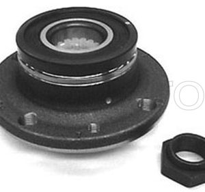 Set rulment roata FIAT QUBO (225_) 1.3 D Multijet (225AXG1A, 225CXG1A, 225AXG11, 225CXG11) diesel 80 cai METELLI 19-2536