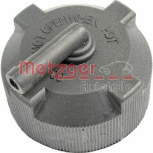 Buson vas expansiune FIAT CROMA (154_) 2500 TD (154.AE) diesel 101 cai METZGER 2140150