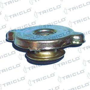 Buson vas expansiune FIAT TIPO (160_) 1.1 (160.AA) benzina 56 cai TRICLO 310176