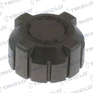 Buson vas expansiune FIAT FIORINO Pick up (146_) 1.3 benzina 67 cai TRICLO 311349
