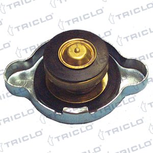 Buson radiator FIAT PANDA Caseta/ Hatchback (141_) 1000 i.e benzina 45 cai TRICLO 316427