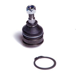 Pivot FIAT PANDA (141_) 1000 4x4 benzina 44 cai REINWEG RW9746