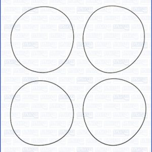 Set garnituri bucsa cilindru FIAT QUBO (225_) 1.4 (225AXA1A) benzina 73 cai AJUSA 60010300
