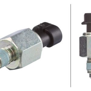 Comutator lampa marsalier FIAT FREEMONT (345_) 2.0 JTD diesel 136 cai HELLA 6ZF 181 612-021