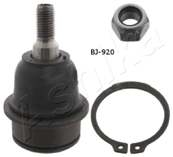 Pivot FIAT FREEMONT (345_) 2.0 JTD 4x4 diesel 163 cai ASHIKA 73-09-920