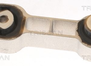 Suport motor FIAT PANDA (169_) 1.3 D Multijet (169AXG1A, 169AXD1A) diesel 75 cai TRISCAN 8505 10132