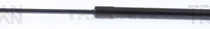 Amortizor portbagaj FIAT PANDA (141_) 1000 4x4 benzina 44 cai TRISCAN 8710 15216