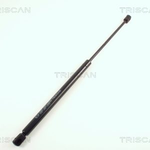 Amortizor portbagaj FIAT PANDA Caseta/ Hatchback (169_) 1.1 (169CXA1A) benzina 54 cai TRISCAN 8710 15226