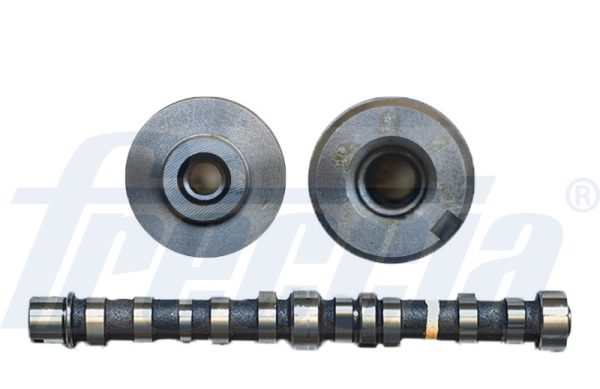 Ax cu came FIAT 500 C (312_) 1.3 D Multijet (312CXB1A) diesel 75 cai FRECCIA CM05-2229
