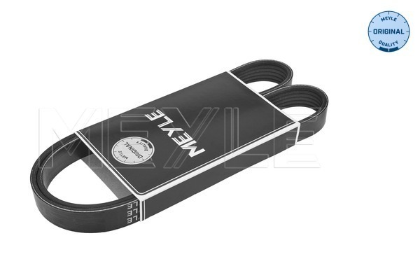 Curea transmisie cu caneluri FIAT FIORINO Autoutilitara/limuzina spatioasa (225_) 1.3 D Multijet (225BXD1A, 225BXB1A, 225BXB11) diesel 75 cai MEYLE 050 006 1325