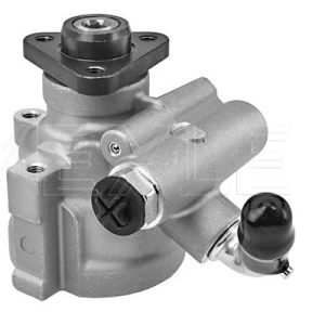 Pompa hidraulica sistem de directie FIAT FIORINO Autoutilitara/limuzina spatioasa (225_) 1.3 D Multijet (225BXD1A, 225BXB1A, 225BXB11) diesel 75 cai MEYLE 214 631 0007