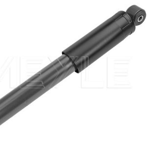 Amortizor FIAT PANDA (169_) 1.1 (169.AXA1A) benzina 54 cai MEYLE 226 725 0009