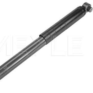 Amortizor FIAT DOBLO Cargo (263_) 1.3 D Multijet (263WXU1A, 263ZXU1A, 263WYB1A, 263ZYB1A) diesel 95 cai MEYLE 226 725 0015