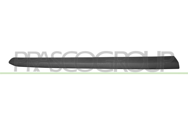 Elemente decorative / protectie portiera FIAT DOBLO Cargo (263_) 1.3 D Multijet diesel 75 cai PRASCO FT9101403