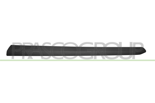 Elemente decorative / protectie portiera FIAT DOBLO Cargo (263_) 1.3 D Multijet diesel 75 cai PRASCO FT9101404
