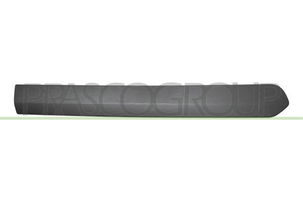 Elemente decorative / protectie portiera FIAT DOBLO Cargo (263_) 1.3 D Multijet diesel 75 cai PRASCO FT9101453