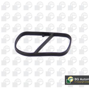Garnitura galerie admisie FIAT PANDA (312_, 319_) 1.3 D Multijet (312PXL1A) diesel 75 cai BGA MG3737