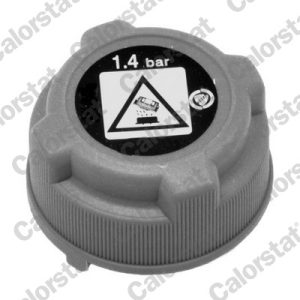 Buson vas expansiune FIAT 500 (312_) 1.0 Mild Hybrid (312.AYD1B) benzina/elector 69 cai CALORSTAT BY VERNET RC0023