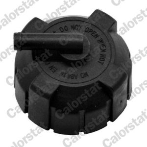 Buson vas expansiune FIAT CROMA (154_) 2500 TD (154.AE) diesel 101 cai CALORSTAT BY VERNET RC0026