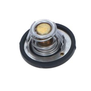 Termostat lichid racire FORD ECOSPORT 1.5 Ti benzina 112 cai NRF 725187