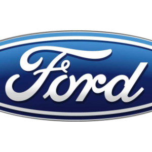 Clips acoperire decorativa si protectie FORD ECOSPORT 1.5 EcoBlue TDCi diesel 100 cai OE FORD 4663587