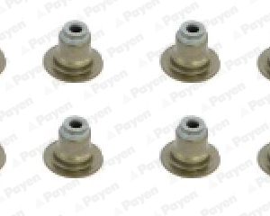 Set garnituri ax supape FORD ECOSPORT 1.5 TDCi diesel 100 cai PAYEN HR5120