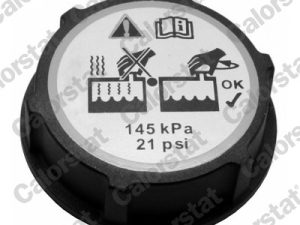 Buson vas expansiune FORD ECOSPORT 1.5 EcoBlue TDCi diesel 100 cai CALORSTAT BY VERNET RC0150