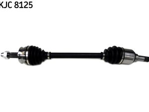 Planetara SKF VKJC 8125