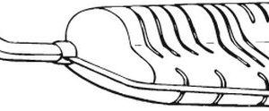 Toba esapament finala BOSAL 154-907 – FORD | AutoRival