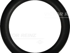 Garnitura galerie admisie VICTOR REINZ 40-76246-00 – FORD | AutoRival