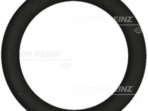 Garnitura galerie admisie VICTOR REINZ 40-76919-00 – FORD | AutoRival