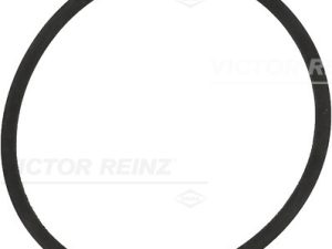 Garnitura galerie admisie VICTOR REINZ 71-34204-00 – FORD | AutoRival