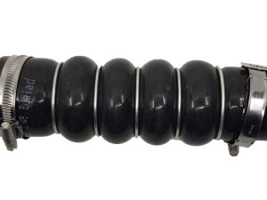 Furtun aer supraalimentare BUGIAD 81949 – FORD | AutoRival