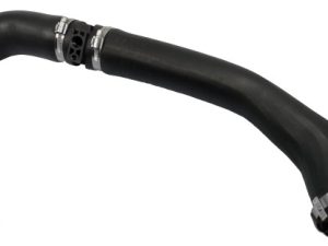 Furtun aer supraalimentare BUGIAD 82085 – FORD | AutoRival